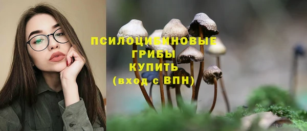 бошки Елизово