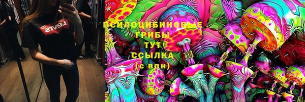 крисы Дмитровск